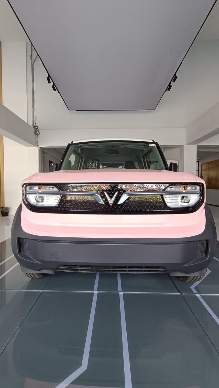 
								Vinfast VF3 Sub Baterai full									